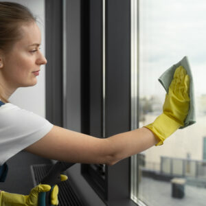 Window Cleaning